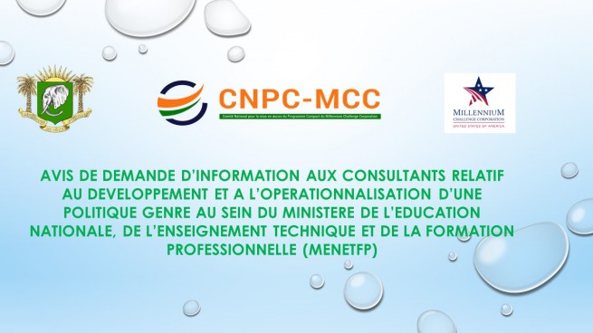 Avis de demande d'informations aux Consultants pour l'op&eacute;rationnalisation d'une Politique Genre au sein du MENETFP