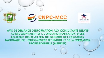 Avis de demande d'informations aux Consultants pour l'op&eacute;rationnalisation d'une Politique Genre au sein du MENETFP